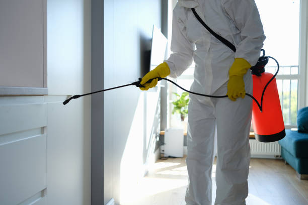 Best Crawl Space Mold Removal  in Rancho Mission Viejo, CA