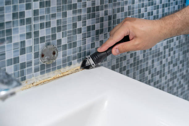 Best Mold Testing  in Rancho Mission Viejo, CA